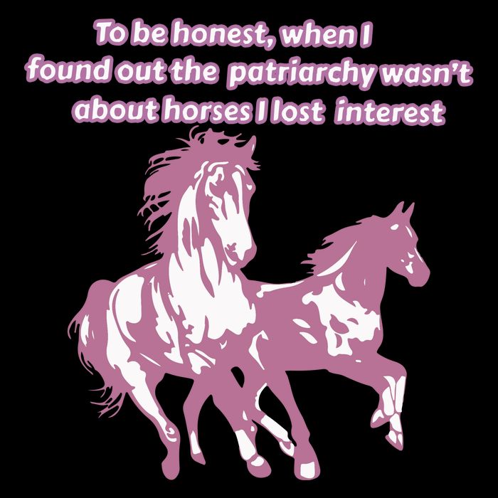 When I Found Out The Patriarchy Wasnt About Horses I Lost Interest 16 in Basic Backpack