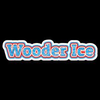 Wooder Ice Funny Philadelphia Slang Novelty Water Ice Womens T-Shirt