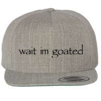 Wait I’m Goated Funny For Men Women Wool Snapback Cap