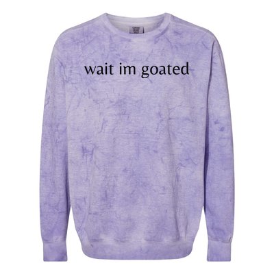 Wait Im Goated Funny Meme Colorblast Crewneck Sweatshirt