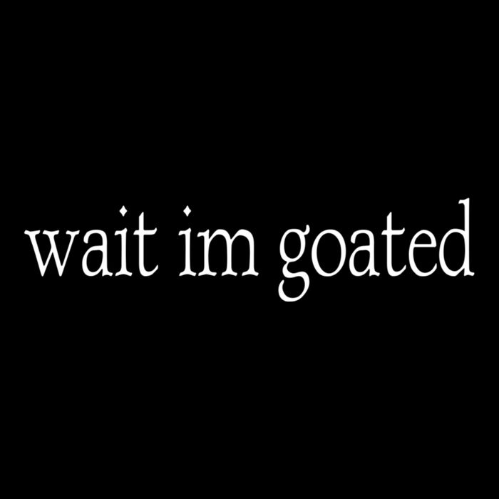 Wait I’m Goated Funny Tee Drawstring Bag