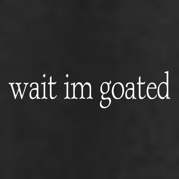 Wait I’m Goated Funny Tee 25L Jumbo Tote