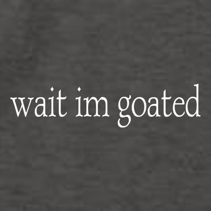 Wait I’m Goated Funny Tee Vector Backpack