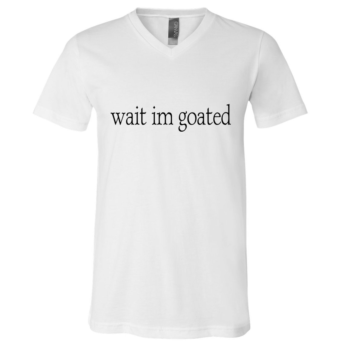 Wait I’m Goated Funny Tee V-Neck T-Shirt