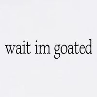 Wait I’m Goated Funny Tee Flatbill Hat