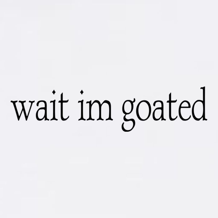 Wait I’m Goated Funny Tee Flatbill Hat