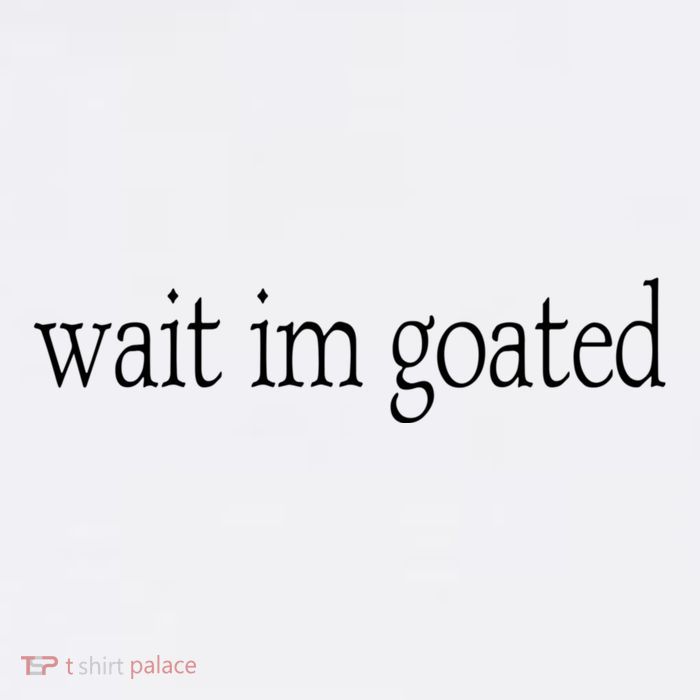 Wait I’m Goated Funny Tee Youth Performance Sprint T-Shirt