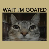 Wait IM Goated Cat Funny Silly Cat Staring Cat Funny Meme Button