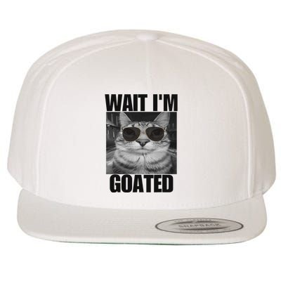 Wait IM Goated Funny Cat Meme Wearing Black Glasses Wool Snapback Cap