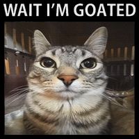Wait IM Goated Silly Cat Meme Impact Tech Backpack
