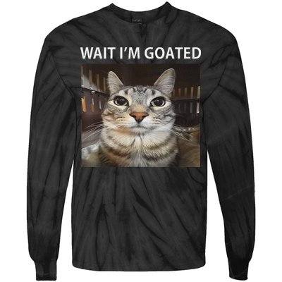 Wait IM Goated Silly Cat Meme Tie-Dye Long Sleeve Shirt