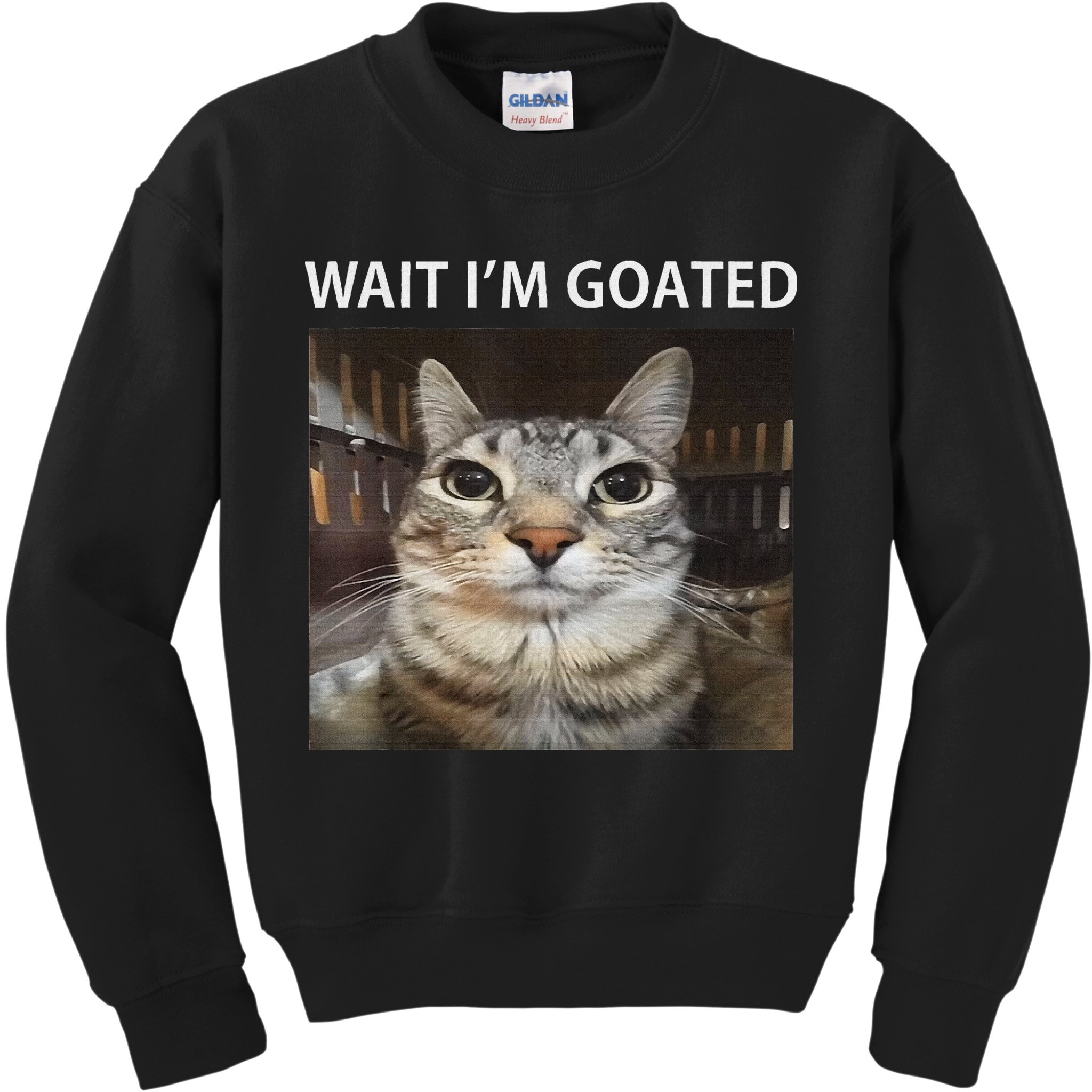 Wait IM Goated Silly Cat Meme Kids Sweatshirt