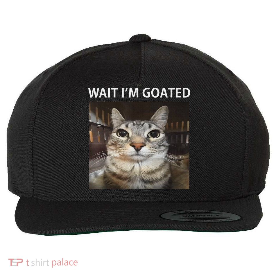 Wait IM Goated Silly Cat Meme Wool Snapback Cap