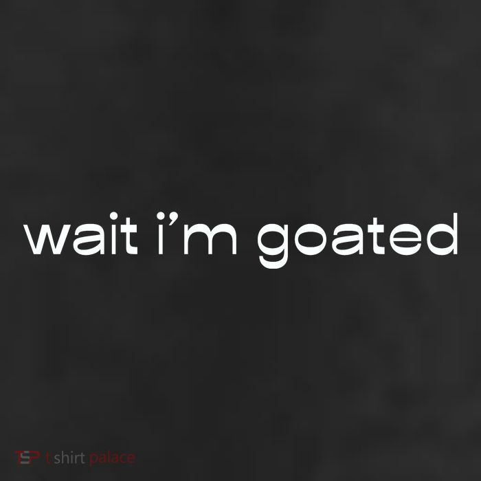 Wait IM Goated Funny Meme 11oz C Handle Ceramic Mug