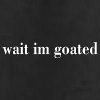 Wait Im Goated Funny Meme 7 Panel Mesh Trucker Snapback Hat