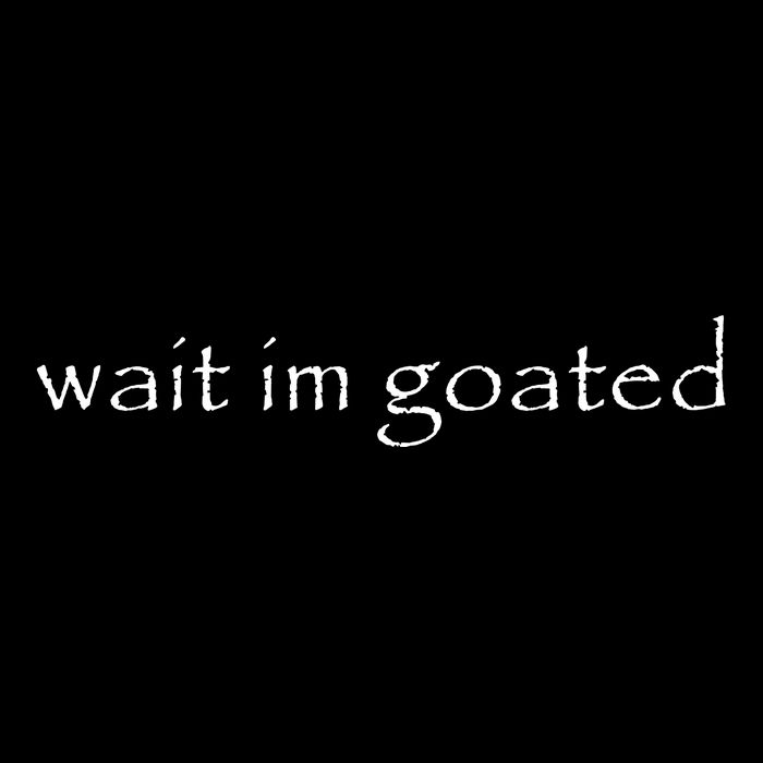 Wait Im Goated Funny Hoodie