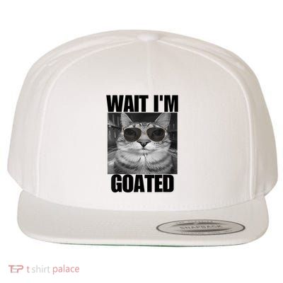 Wait IM Goated Funny Cat Meme Wearing Black Glasses Wool Snapback Cap