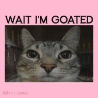 Wait IM Goated Cat Funny Silly Cat Staring Cat Button