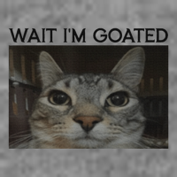 Wait IM Goated Cat Funny Silly Cat Staring Cat 7-Panel Snapback Hat