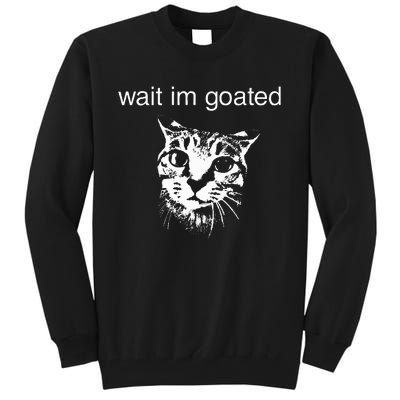 Wait IM Goated Funny Cat Meme Tall Sweatshirt