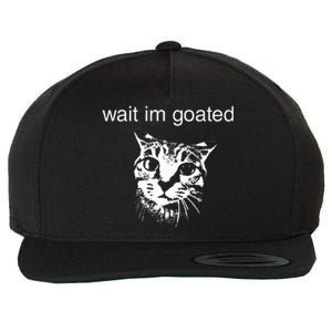 Wait IM Goated Funny Cat Meme Wool Snapback Cap