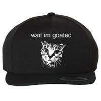 Wait IM Goated Funny Cat Meme Wool Snapback Cap