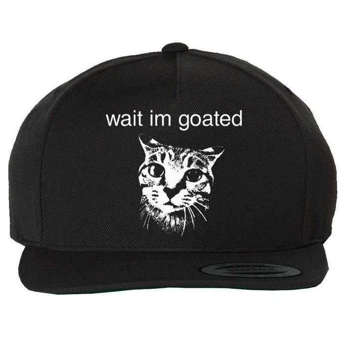 Wait IM Goated Funny Cat Meme Wool Snapback Cap