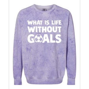 What Is Life Without Goals Motivational Funny Soccer Gift Colorblast Crewneck Sweatshirt