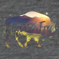 Wild And Free 7 Panel Mesh Trucker Snapback Hat
