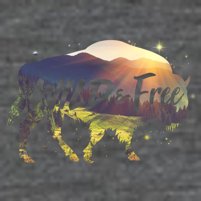 Wild And Free 7 Panel Mesh Trucker Snapback Hat