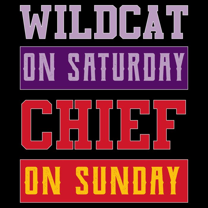 Wildcat On Saturday Chief On Sunday Impact Tech Backpack