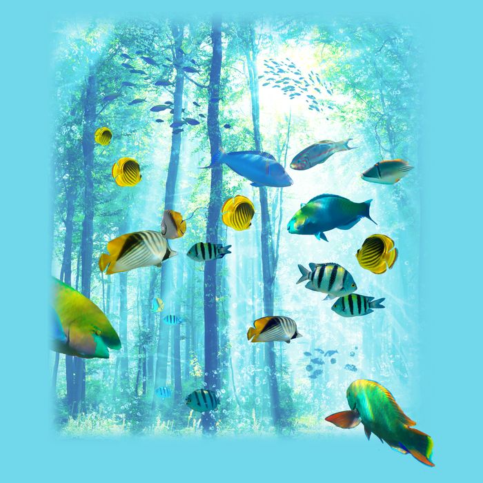 Wilderness Fish In Nature Magnet