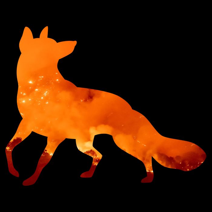 Wildfire Fox Toddler T-Shirt
