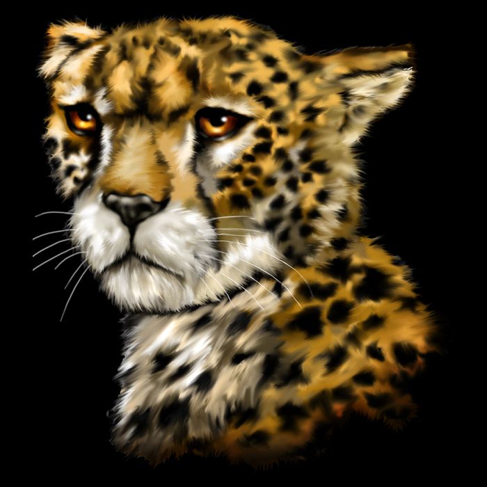 Wildlife - Big Face Cheetah Portrait Sustainable Bucket Hat