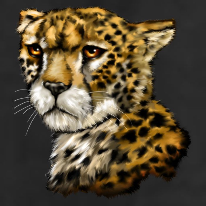 Wildlife - Big Face Cheetah Portrait Adult Drive Performance Visor