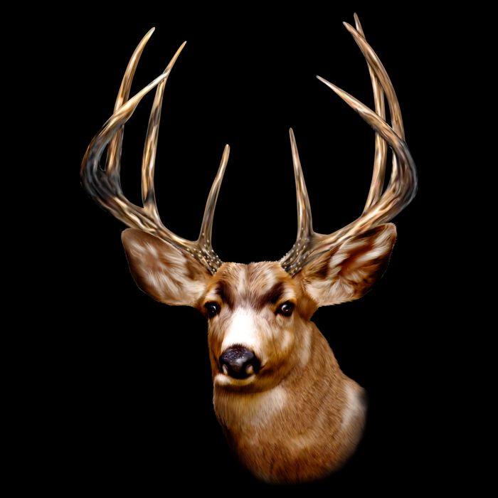 Wildlife - Big Face Deer Head Portrait City Backpack