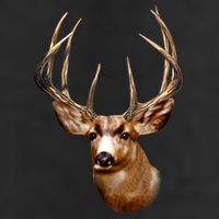 Wildlife - Big Face Deer Head Portrait Adult Drive Performance Visor