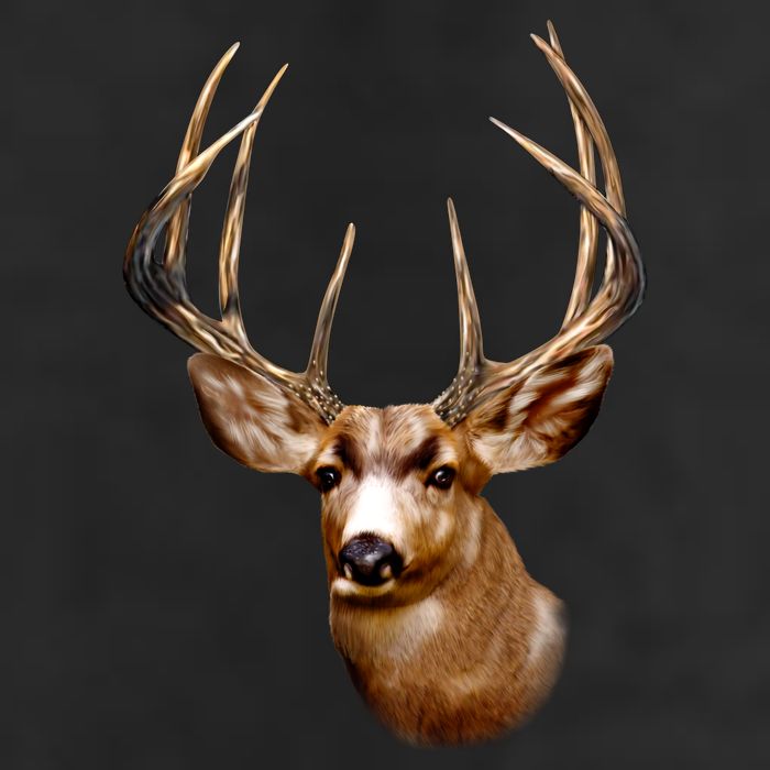 Wildlife - Big Face Deer Head Portrait Adult Drive Performance Visor
