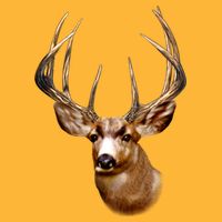 Wildlife - Big Face Deer Head Portrait Cooling Performance Crew T-Shirt