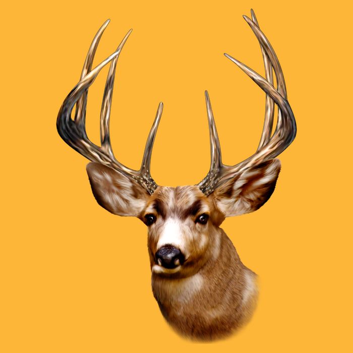 Wildlife - Big Face Deer Head Portrait Cooling Performance Crew T-Shirt