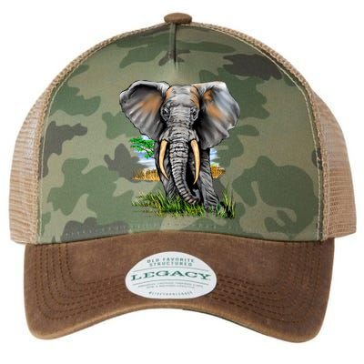 Wildlife - Big Face Elephant Portrait Legacy Tie Dye Trucker Hat