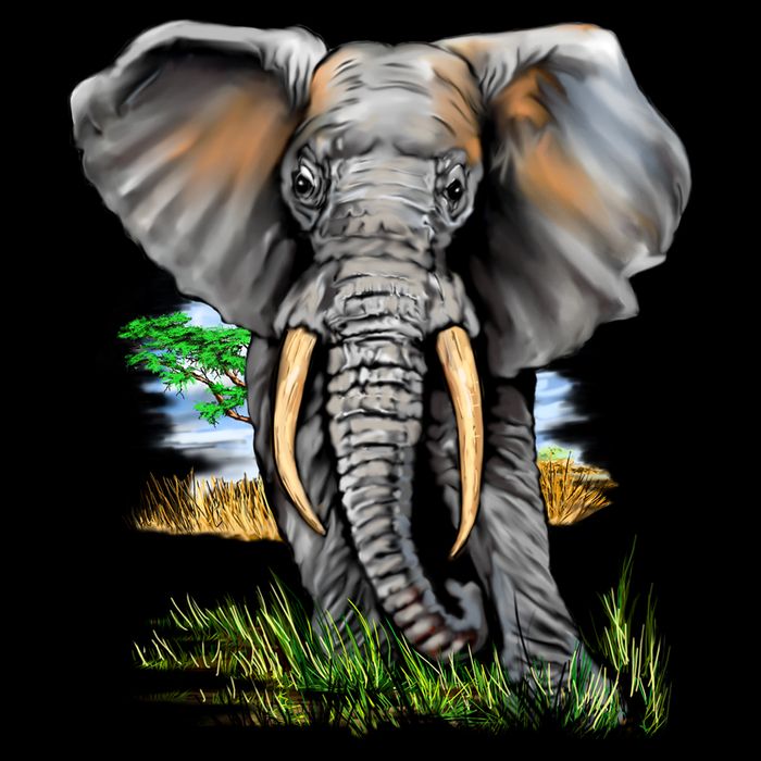 Wildlife - Big Face Elephant Portrait Cooling Performance Crew T-Shirt