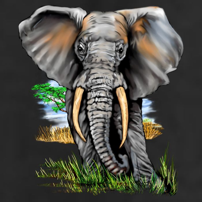 Wildlife - Big Face Elephant Portrait Adult Drive Performance Visor