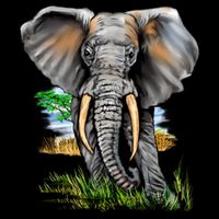 Wildlife - Big Face Elephant Portrait 16 in Basic Backpack