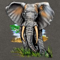Wildlife - Big Face Elephant Portrait Cotton Canvas Backpack