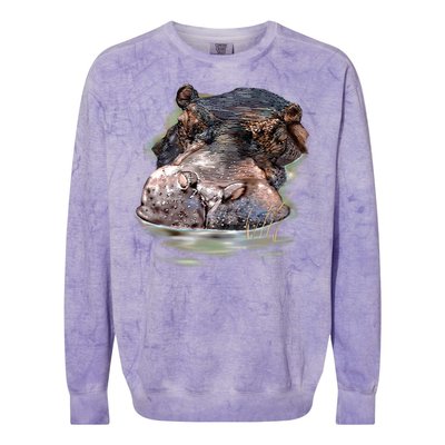 Wildlife - Big Face Hippo Portrait Colorblast Crewneck Sweatshirt