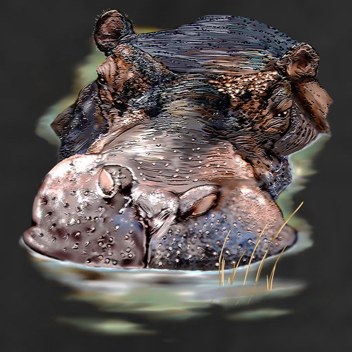 Wildlife - Big Face Hippo Portrait Adult Drive Performance Visor