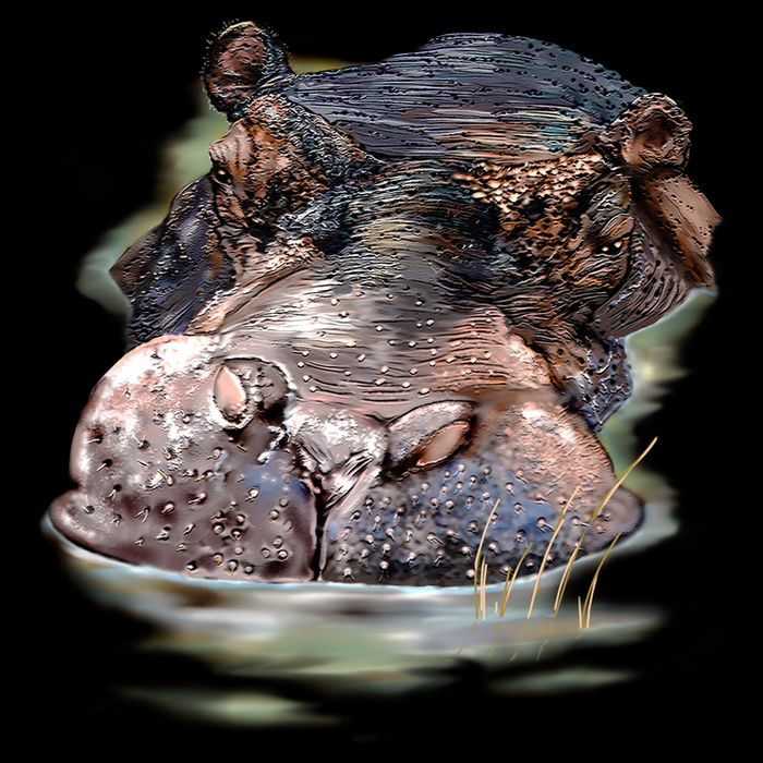 Wildlife - Big Face Hippo Portrait 16 in Basic Backpack