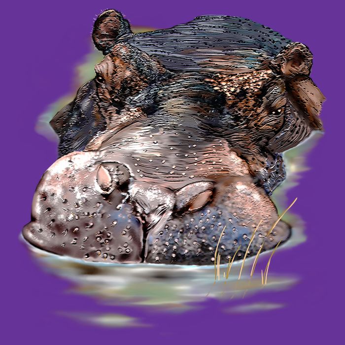 Wildlife - Big Face Hippo Portrait Cooling Performance Crew T-Shirt