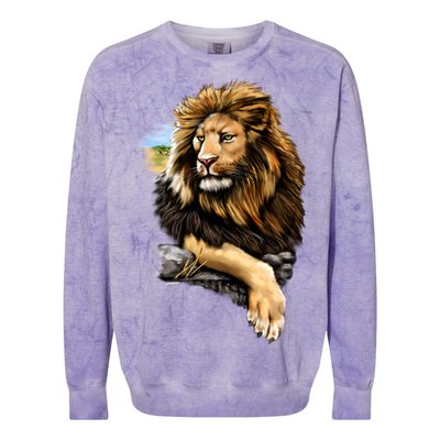 Wildlife - Big Face Proud Lion Portrait Colorblast Crewneck Sweatshirt